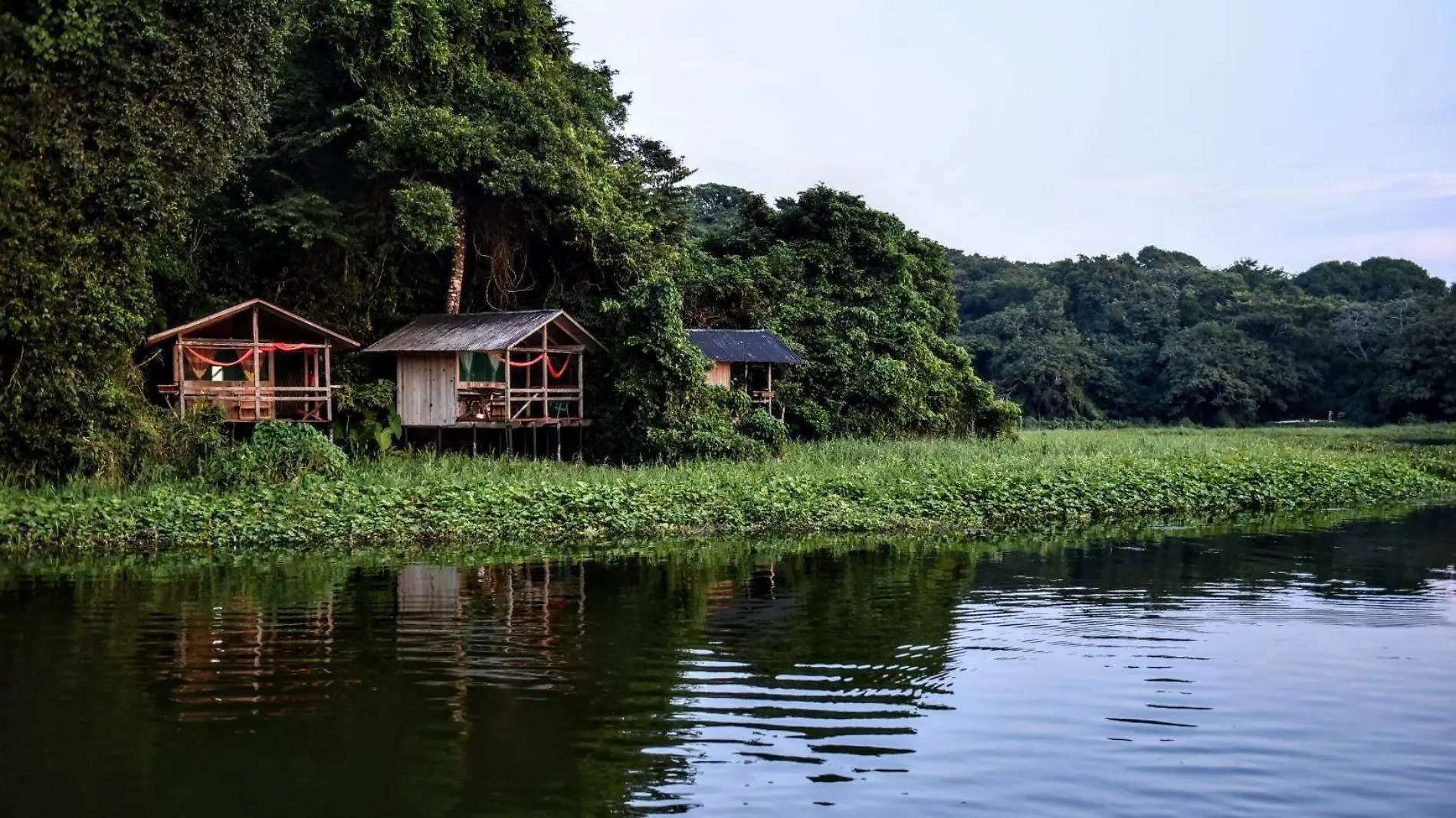 RENE-ASPECTOS CATEMACO